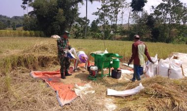 Babinsa Koramil 2209/Lengkong Dampingi Petani dalam Program Ketahanan Pangan