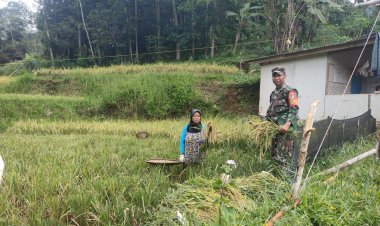 Babinsa Koramil 2209/Lengkong Dampingi Hanpangan di Desa Cilangkap