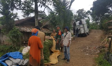 Babinsa Koramil 2209/Lengkong Dampingi Hanpangan dan Sosialisasi Serap Gabah di Desa Tegallega