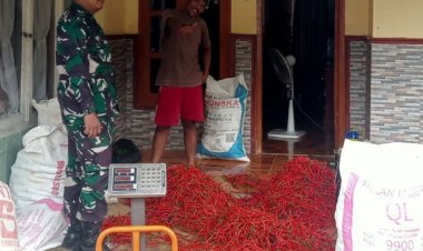 Babinsa Koramil 2211/Sagaranten Lakukan Pengecekan Harga Cabai di Desa Mekarsari