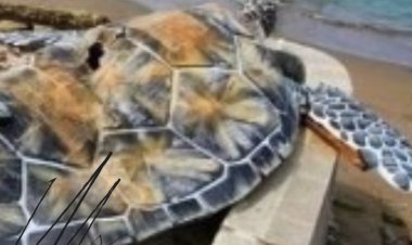 Anggota DPRD Kab Sukabumi Soroti Pembangunan Alun-alun Gadobangkong