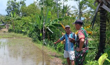 Babinsa Koramil 2201/Cisolok Dampingi Kelompok Tani di Desa Cikelat