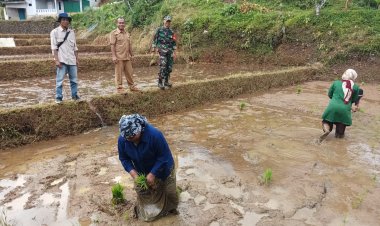 Babinsa Koramil 2209/Lengkong Dampingi Program Ketahanan Pangan di Desa Tegallega