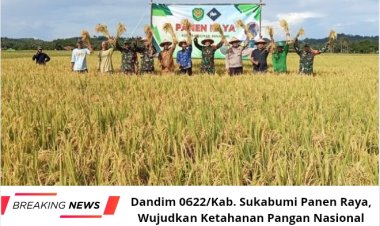 Dandim 0622/Kab. Sukabumi Panen Raya, Wujudkan Ketahanan Pangan Nasional