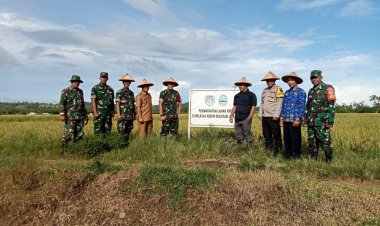 DANRAMIL 2215/CIEMAS IKUTI PANEN RAYA PADI BERSAMA DANDIM 0622/KAB SUKABUMI