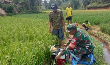 Babinsa Koramil 2209/Lengkong Dampingi Program Ketahanan Pangan di Desa Lengkong