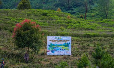 Dedie Rachim, Menhut, dan Gubernur Jabar Tanam 50.000 Bibit Pohon