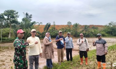 Babinsa Koramil 2210/Pabuaran Dampingi Kelompok Tani Desa Cibadak dalam Ketahanan Pangan