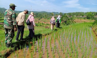 Danposramil 2211/Sagaranten Dampingi Ditjen Kementan Cek LTT di Curugkembar