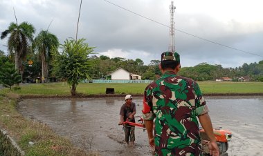 Babinsa Koramil 2212/Tegalbuleud Dampingi Kelompok Tani dalam Ketahanan Pangan