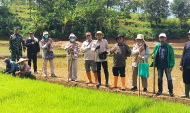 Babinsa Koramil 2210/Pabuaran Dampingi Petani dalam Program Luas Tambah Tanam (LTT) di Desa Bantarsari