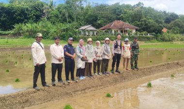 Babinsa Koramil 2211/Sagaranten Dampingi Ditjen Kementan dalam Pengecekan LTT di Kecamatan Cidolog