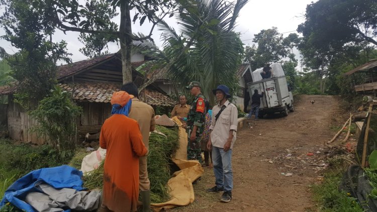Babinsa Koramil 2209/Lengkong Dampingi Hanpangan dan Sosialisasi Serap Gabah di Desa Tegallega