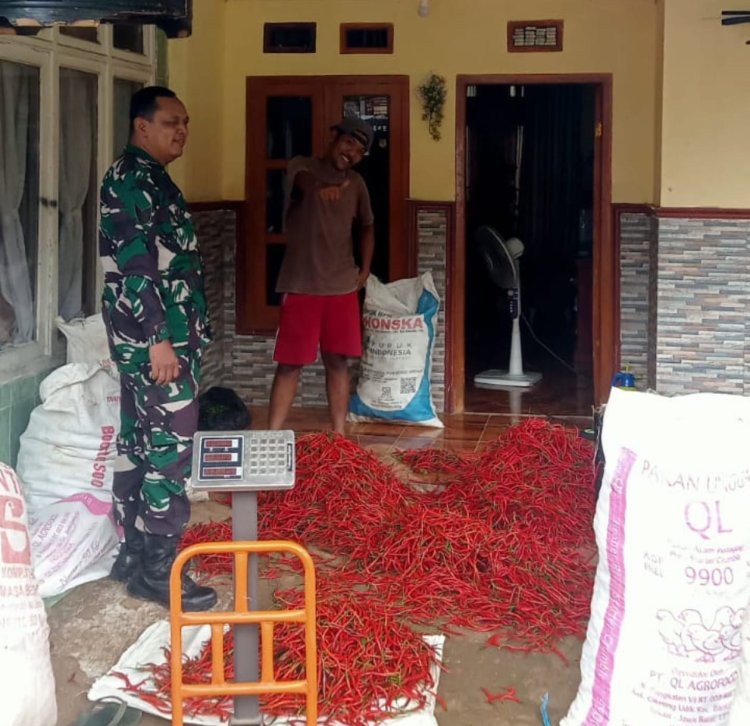 Babinsa Koramil 2211/Sagaranten Lakukan Pengecekan Harga Cabai di Desa Mekarsari