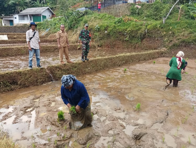 Babinsa Koramil 2209/Lengkong Dampingi Program Ketahanan Pangan di Desa Tegallega