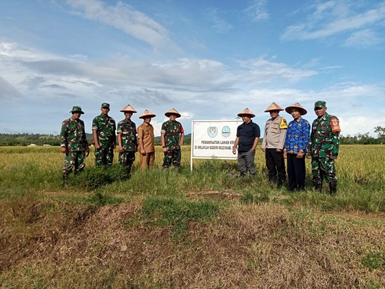 DANRAMIL 2215/CIEMAS IKUTI PANEN RAYA PADI BERSAMA DANDIM 0622/KAB SUKABUMI