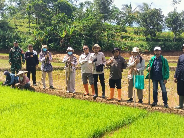 Babinsa Koramil 2210/Pabuaran Dampingi Petani dalam Program Luas Tambah Tanam (LTT) di Desa Bantarsari