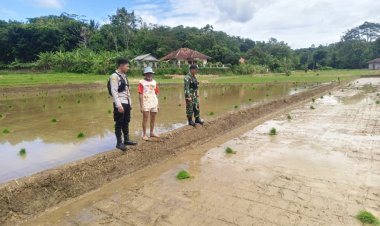 Babinsa Koramil 2211/Sagaranten Dampingi Kegiatan Hanpangan di Desa Cidolog
