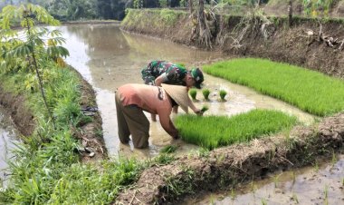 Babinsa Koramil 2210/Pabuaran Dukung Ketahanan Pangan di Desa Cibadak