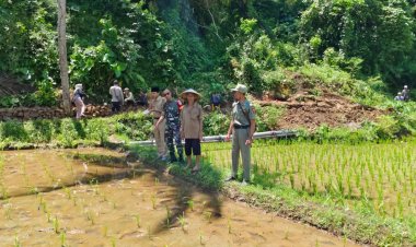 Babinsa Koramil 2213/Jampangkulon Dampingi Kegiatan Hanpangan di Desa Sekarsari