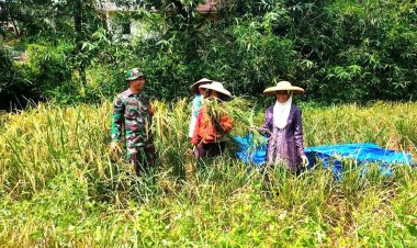 Babinsa Koramil 2209/Lengkong Dampingi Kegiatan Ketahanan Pangan di Desa Cilangkap