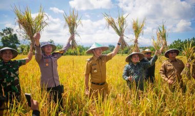 Panen Raya Padi Bareng Presiden, Dedie Rachim Dukung Kemandirian dan Ketahanan Pangan