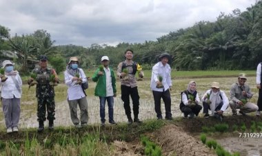 Babinsa Koramil 2211/Sagaranten Dampingi Kementan Lakukan Pengecekan LTT di Desa Cidolog