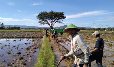 Babinsa Koramil 2215/Ciemas Dukung Ketahanan Pangan di Desa Ciwaru