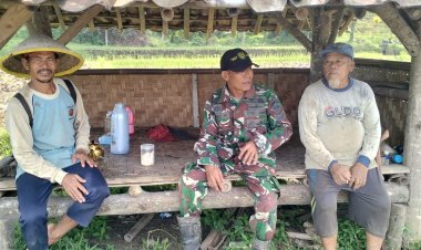 Babinsa Koramil 2215/Ciemas Laksanakan Komsos dengan Petani di Desa Mekarsakti