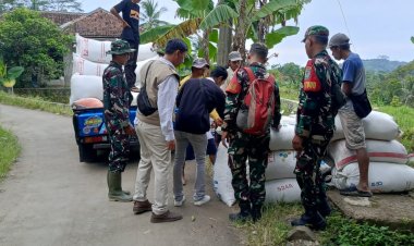 Danramil 2201/Cisolok Ikuti Program Penyerapan Gabah di Kp. Cimareme, Desa Wangunsari