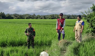 Babinsa Koramil 2212/Tegalbuleud Dampingi Kelompok Tani di Desa Biniasih