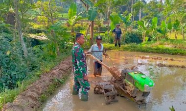 Babinsa Koramil 2205/Kalapanunggal Dampingi Kegiatan Hanpangan di Desa Cipeteuy