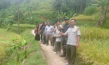 Babinsa Koramil 2204/Cikidang Dampingi Kegiatan Ketahanan Pangan di Desa Cikarae Thoyibah