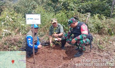 Babinsa Koramil 2204/Cikidang Laksanakan Kegiatan Penghijauan di Desa Cikarae Thoyibah