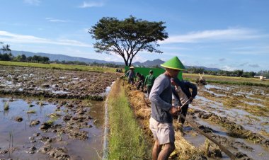 Babinsa Koramil 2215/Ciemas Dukung Ketahanan Pangan Lewat Kegiatan Hanpangan LTT di Desa Ciwaru