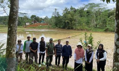Babinsa Koramil 2207/Jampang Tengah Dampingi Kunjungan Kementan ke Kelompok Tani di Desa Cicukang