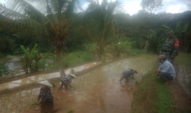 Babinsa Koramil 2204/Cikidang Dampingi Kegiatan LTT Poktan Cigadog