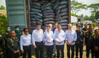 Sekam Bakar dan Tanaman Hias Kota Bogor Tembus Negeri Kincir Angin