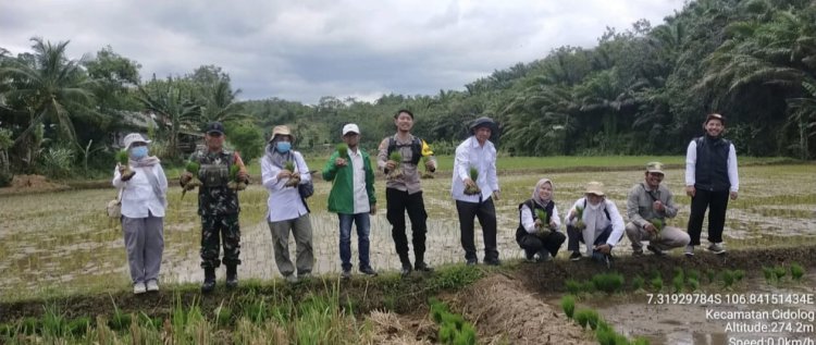 Babinsa Koramil 2211/Sagaranten Dampingi Kementan Lakukan Pengecekan LTT di Desa Cidolog