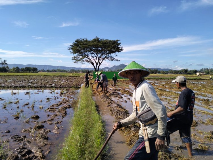 Babinsa Koramil 2215/Ciemas Dukung Ketahanan Pangan di Desa Ciwaru