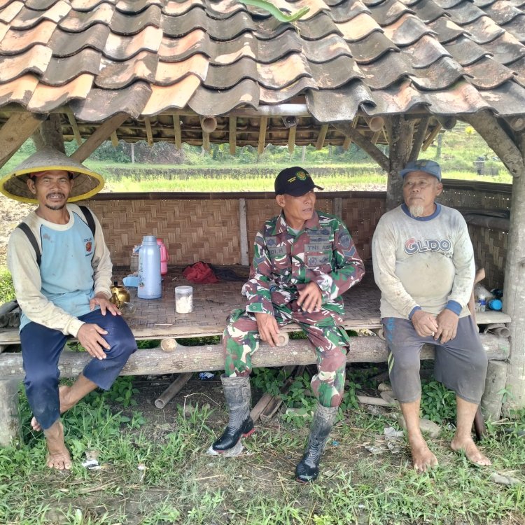 Babinsa Koramil 2215/Ciemas Laksanakan Komsos dengan Petani di Desa Mekarsakti