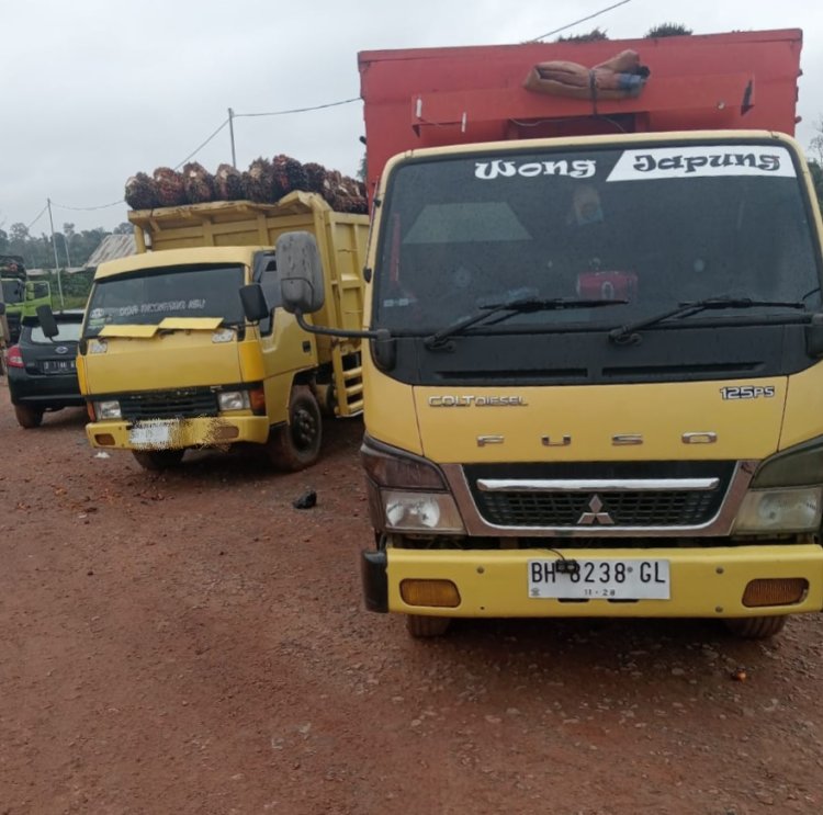 Mobil Truk Terparkir di Lokasi Depan PT Sukses Inti Palma 2, Diduga Ada Upaya Pencurian Sawit