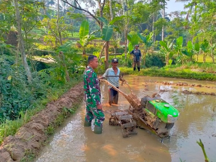 Babinsa Koramil 2205/Kalapanunggal Dampingi Kegiatan Hanpangan di Desa Cipeteuy