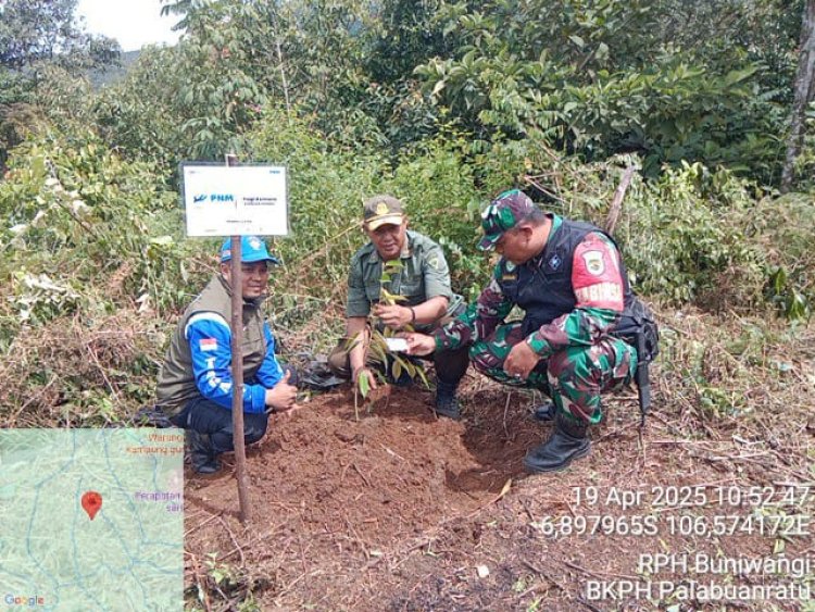 Babinsa Koramil 2204/Cikidang Laksanakan Kegiatan Penghijauan di Desa Cikarae Thoyibah