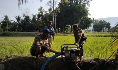 Babinsa Koramil 2215/Ciemas Dukung Ketahanan Pangan Melalui Kegiatan Pompanisasi
