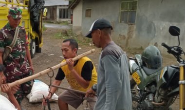 Babinsa Koramil 2202/Palabuhanratu Dampingi Kegiatan Serap Gabah Bersama Bulog