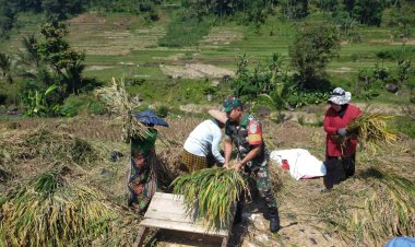 Babinsa Koramil 2205/Kalapanunggal Dampingi Kelompok Tani di Desa Tugubandung
