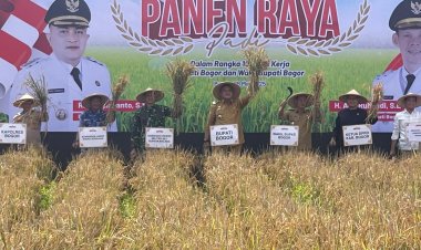 Danrem 061/Suryakancana dan Forkopimda Gelar Panen Raya di Bogor, Dukung Program Ketahanan Pangan Nasional