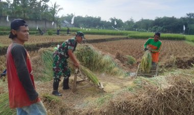 Babinsa Koramil 2208/Nyalindung Dukung Ketahanan Pangan Lewat Pendampingan Kelompok Tani