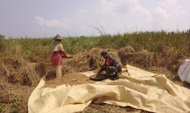 Babinsa Koramil 2209/Lengkong Dampingi Kegiatan Ketahanan Pangan Bersama Kelompok Tani